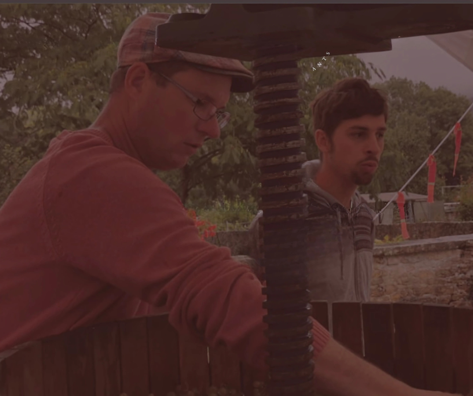 Oxymore Wine Producer