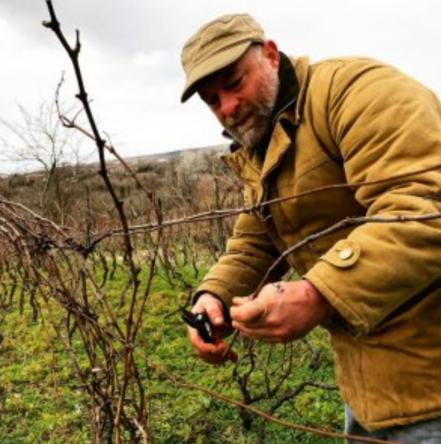 Ramaz Nikoladze Winemaker