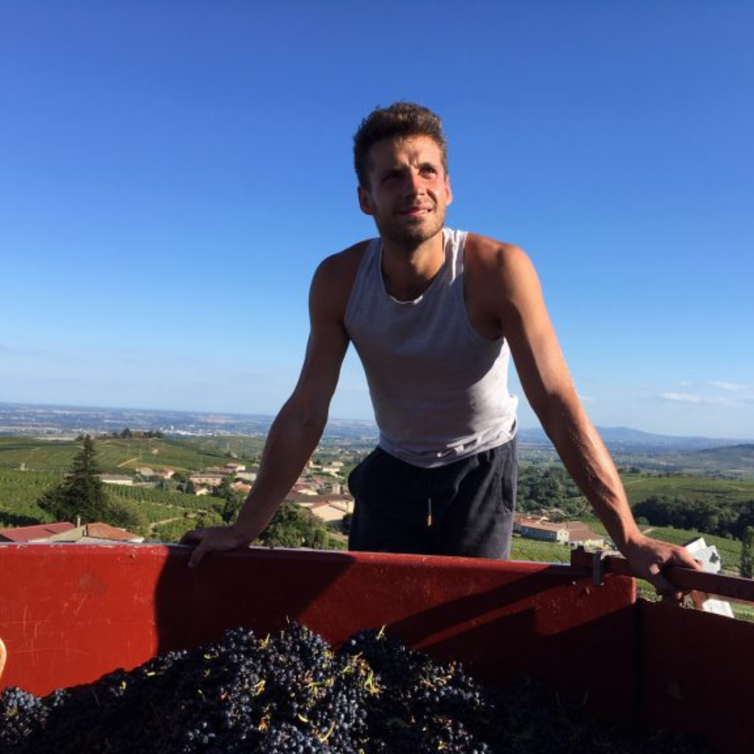 thibault-ducroux-winemaker