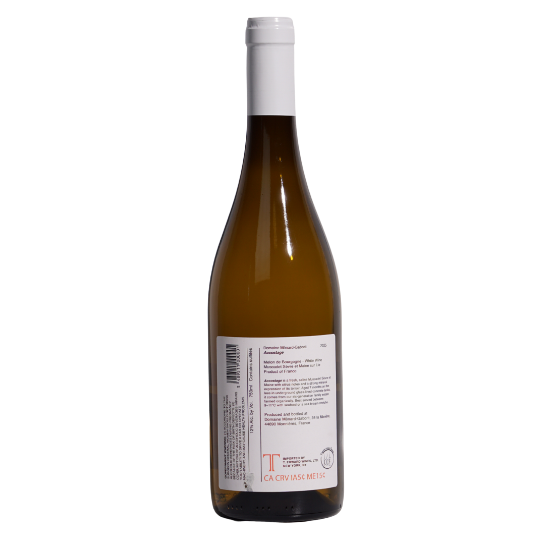 accostage sevre et maine sur lie menard gaborit 2025 natural white france back