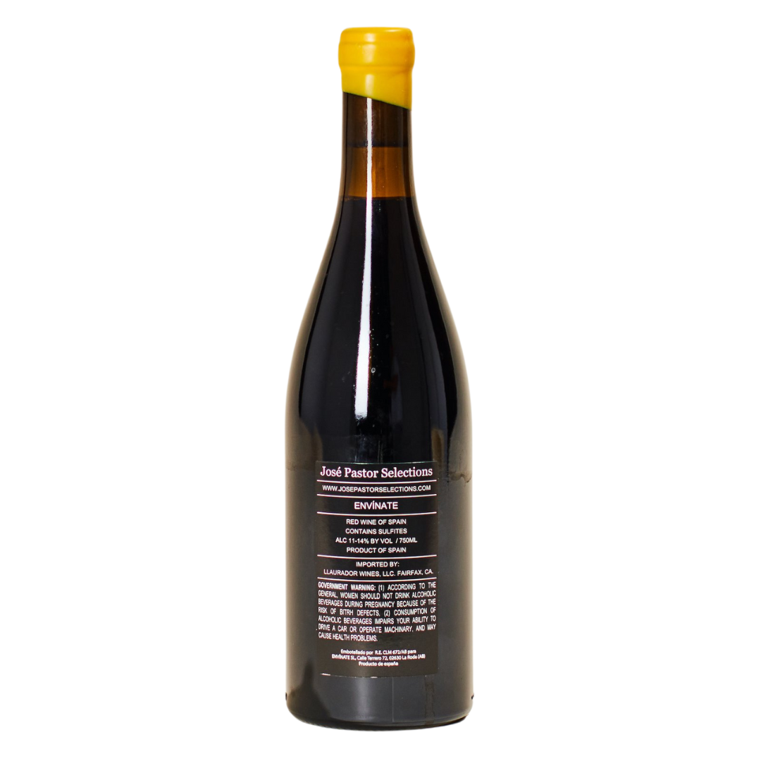 albahra 2024 envinate natural red wine almansa spain back