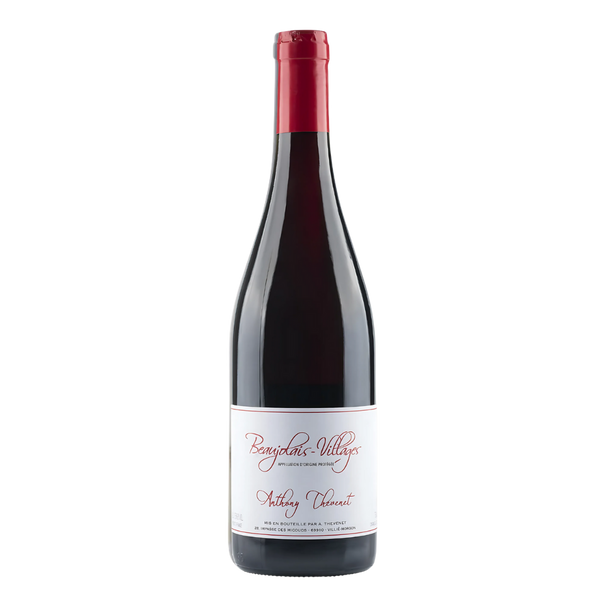 Beaujolais Villages | Anthony Thevenet | MYSA Natural Wine