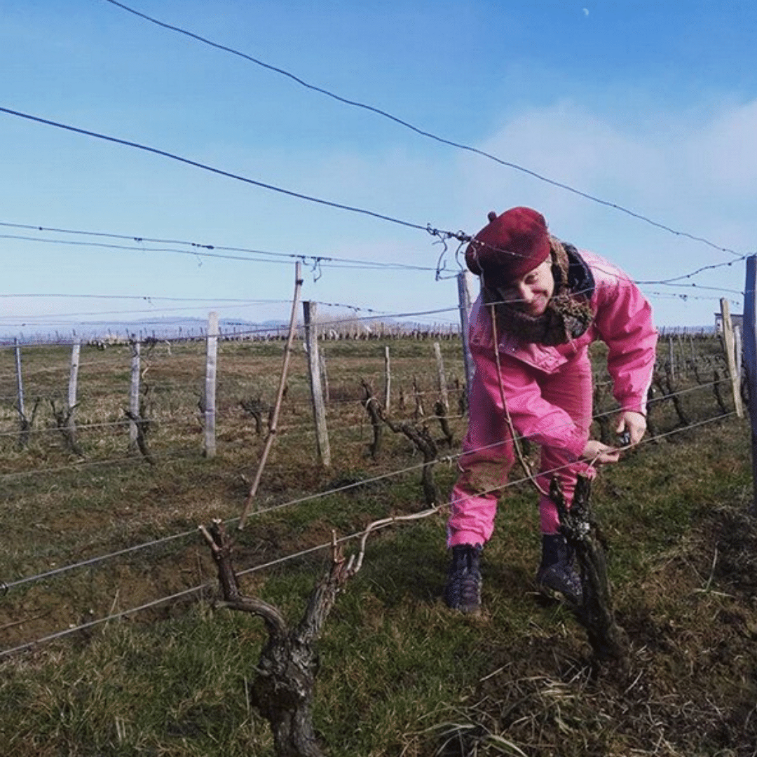 domaine-de-loctavin-winemaker