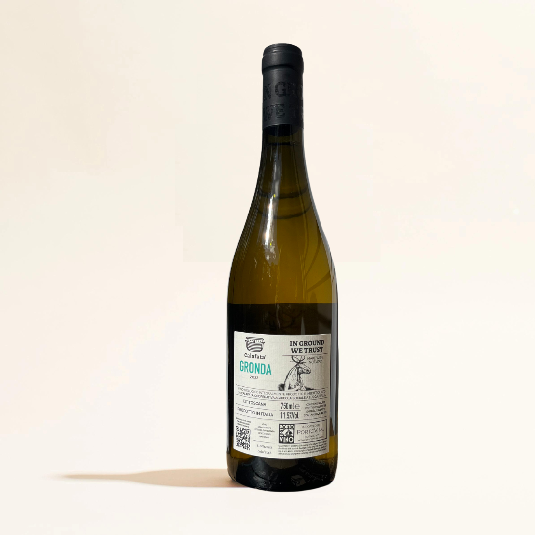 gronda calafata natural White wine. Tuscany Italy back