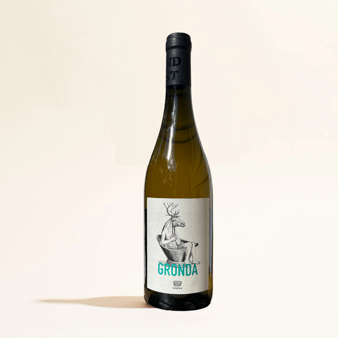 gronda calafata natural White wine. Tuscany Italy front