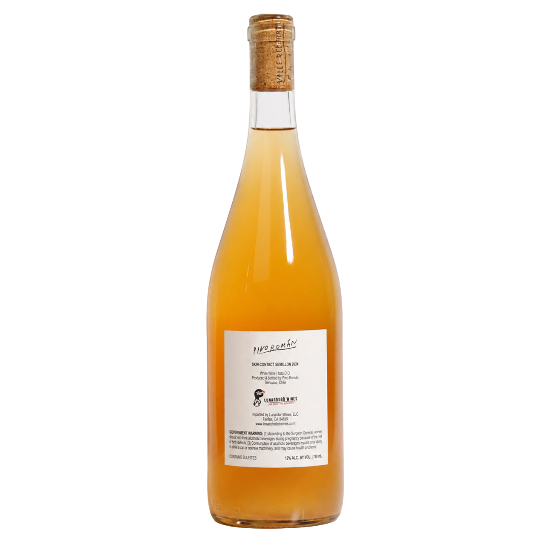 itata skin contact semillon 2024 pino roman natural orange chile back