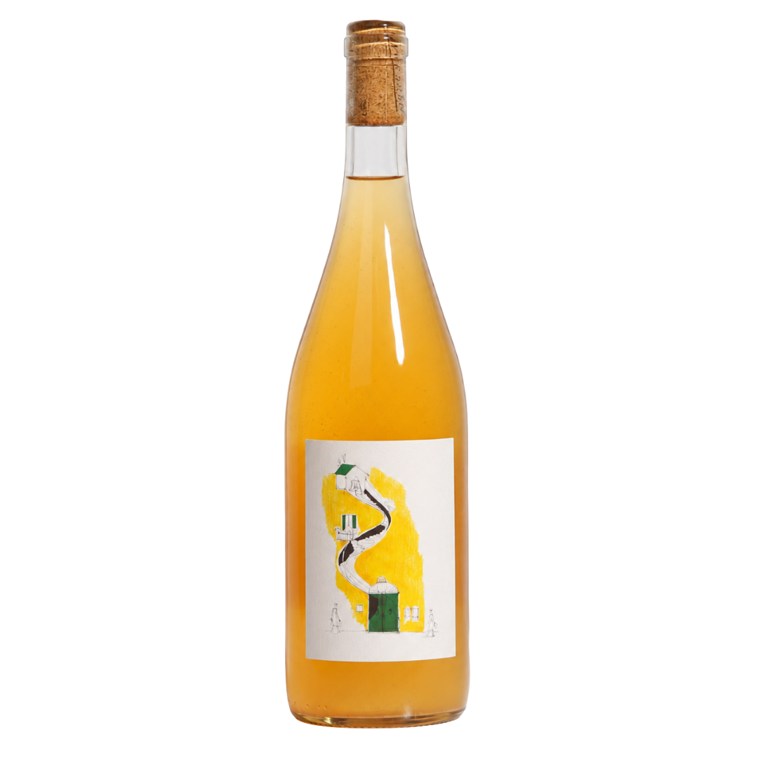 itata skin contact semillon 2024 pino roman natural orange chile front