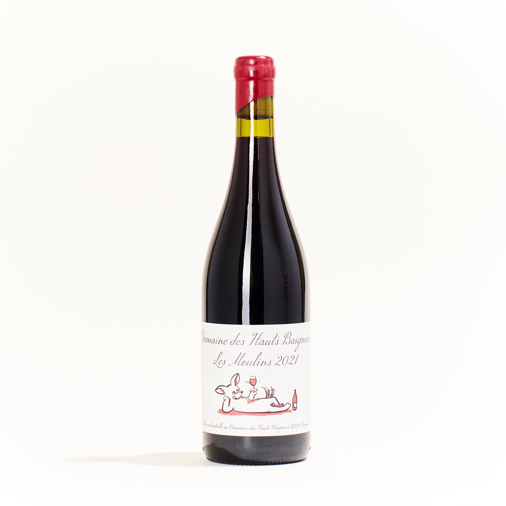 Les Moulins VDF Red natural wine bottle. Cabernet Franc grapes, minimal SO2, Domaine Haut-Baigneux, Panzoult, France.