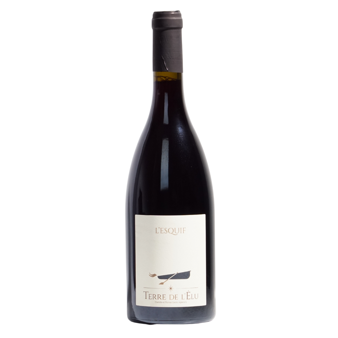 lesquif vdf gamay terre de lélu  natural Red wine Loire France