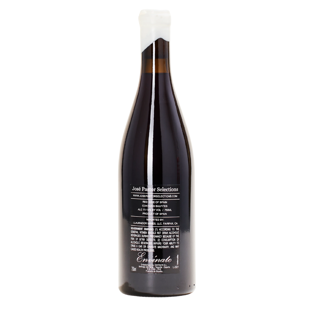 migan tinto 2021 envinate natural red wine canary islands spain back