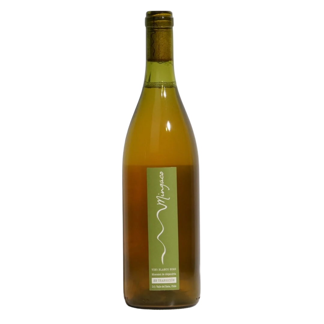 moscatel de alejandria mingaco natural white chile front