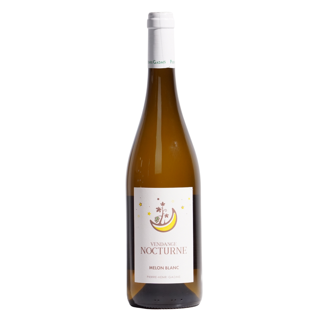 Nocturne VDF Blanc Dom De La Combe Vendange Natural White Wine Loire France