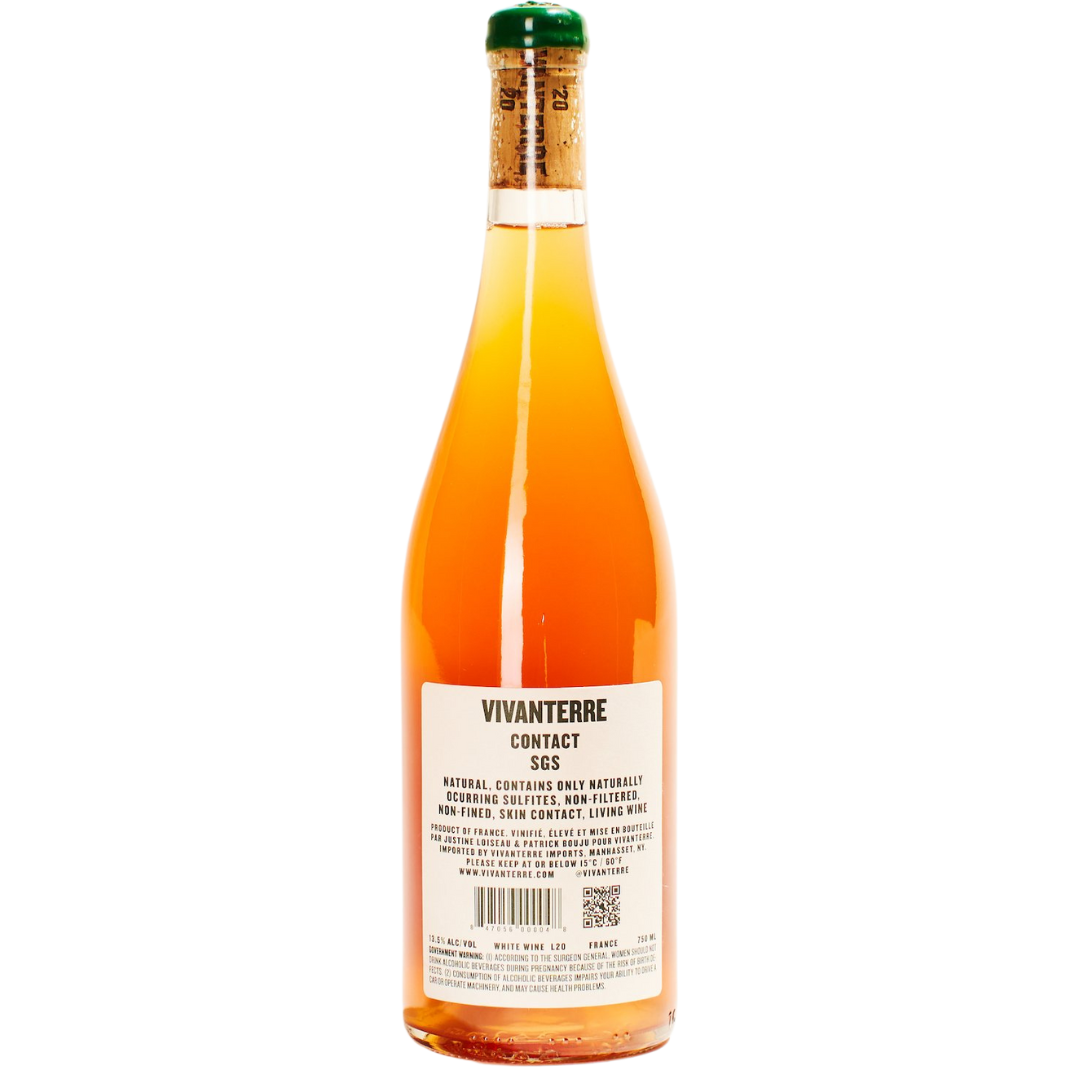 orange contact vivanterre natural orange wine from auvergne france back