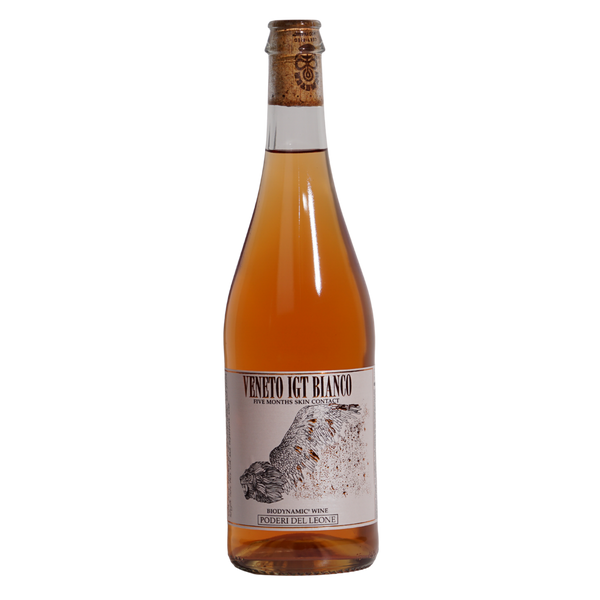 Orange Veneto Bianco | Poderi Del Leone | MYSA Natural Wine