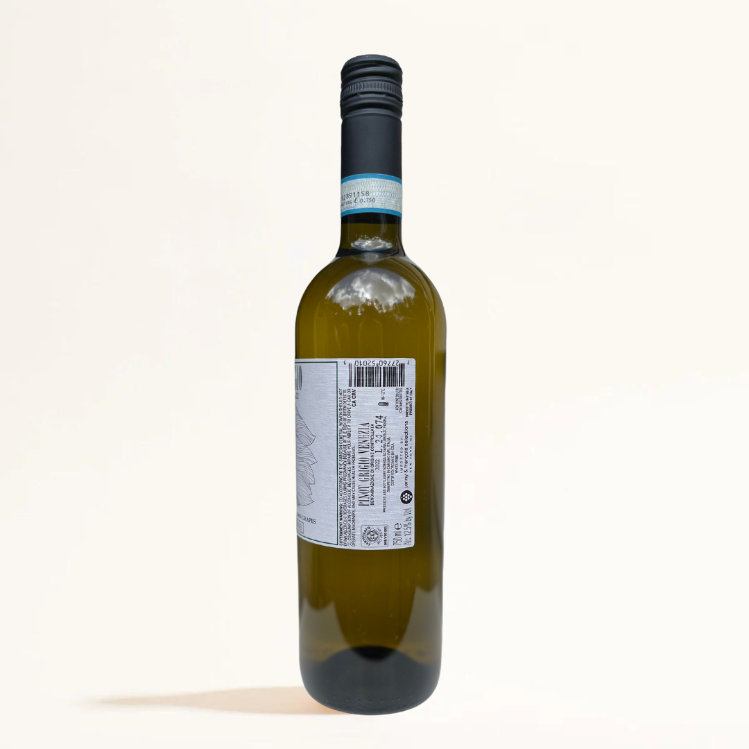 pinot grigio domini del leone natural White wine Veneto Italy side