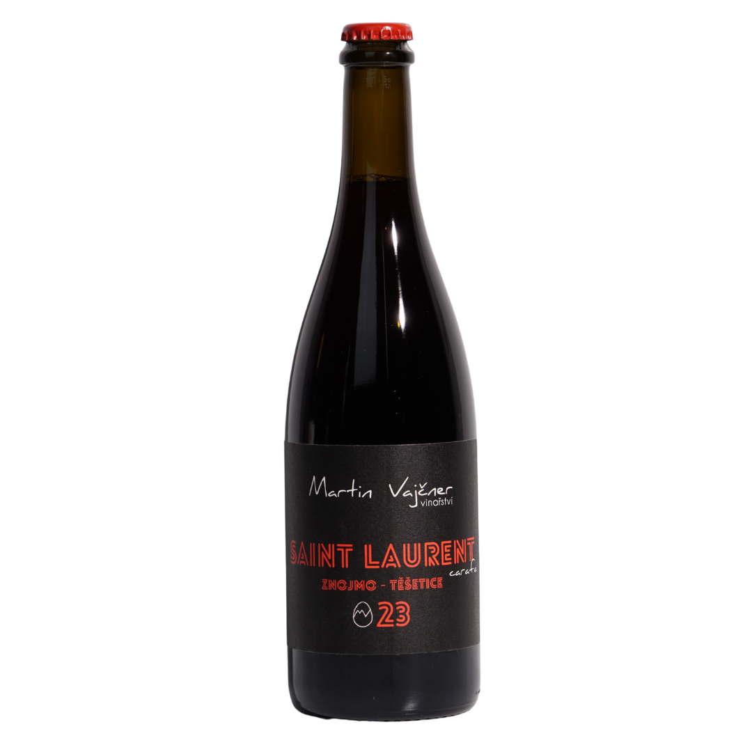 saint laurent carafa martin vajcner 2023 natural red czech republic front
