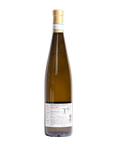 Classico Verdicchio by Sartarelli natural white wine from Marche Castelli di Jesi Italy
