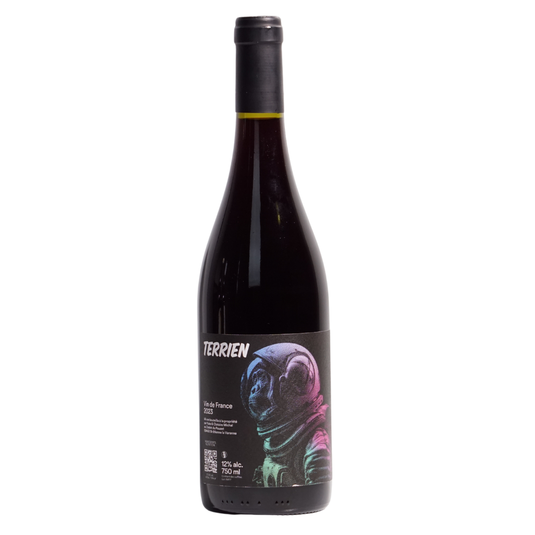 Terrien VDF Gamay Yuka And Clotaire Michal Natural Red Wine Beaujolais France