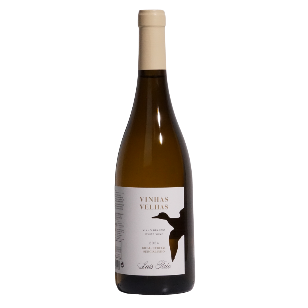 vinhas velhas white 2024 luis pato natural white portugal front