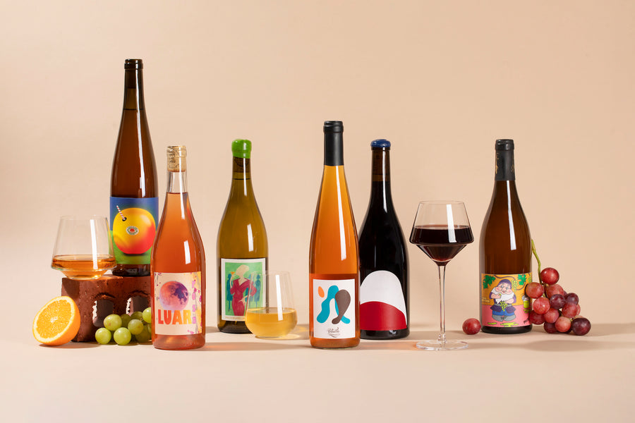 6 bottle natural wine club subscription