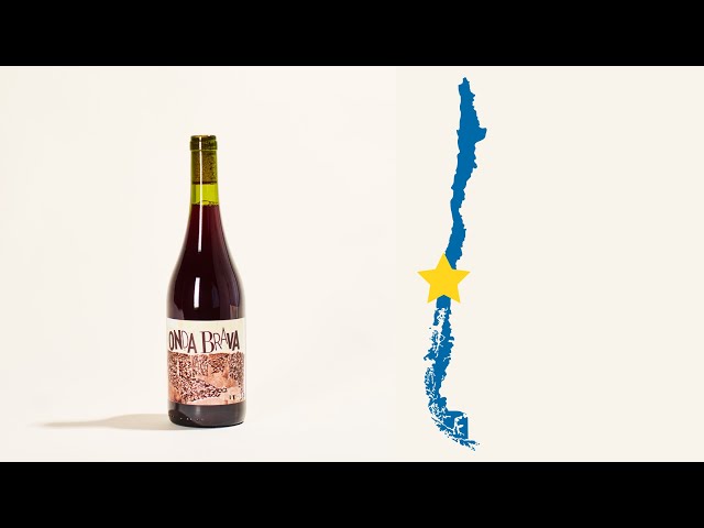 Cinsault | Onda Brava | MYSA Natural Wine
