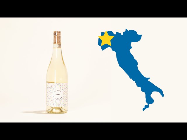 Gavi | La Zerba | MYSA Natural Wine