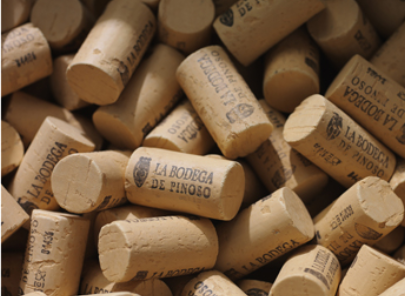 bodegas-pinoso-winemaker