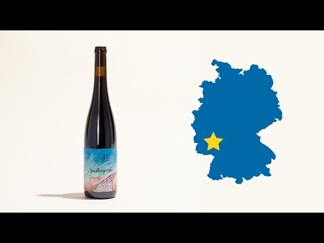 Rheinhessen Spätburgunder | Weingut Schmitt | MYSA Natural Wine
