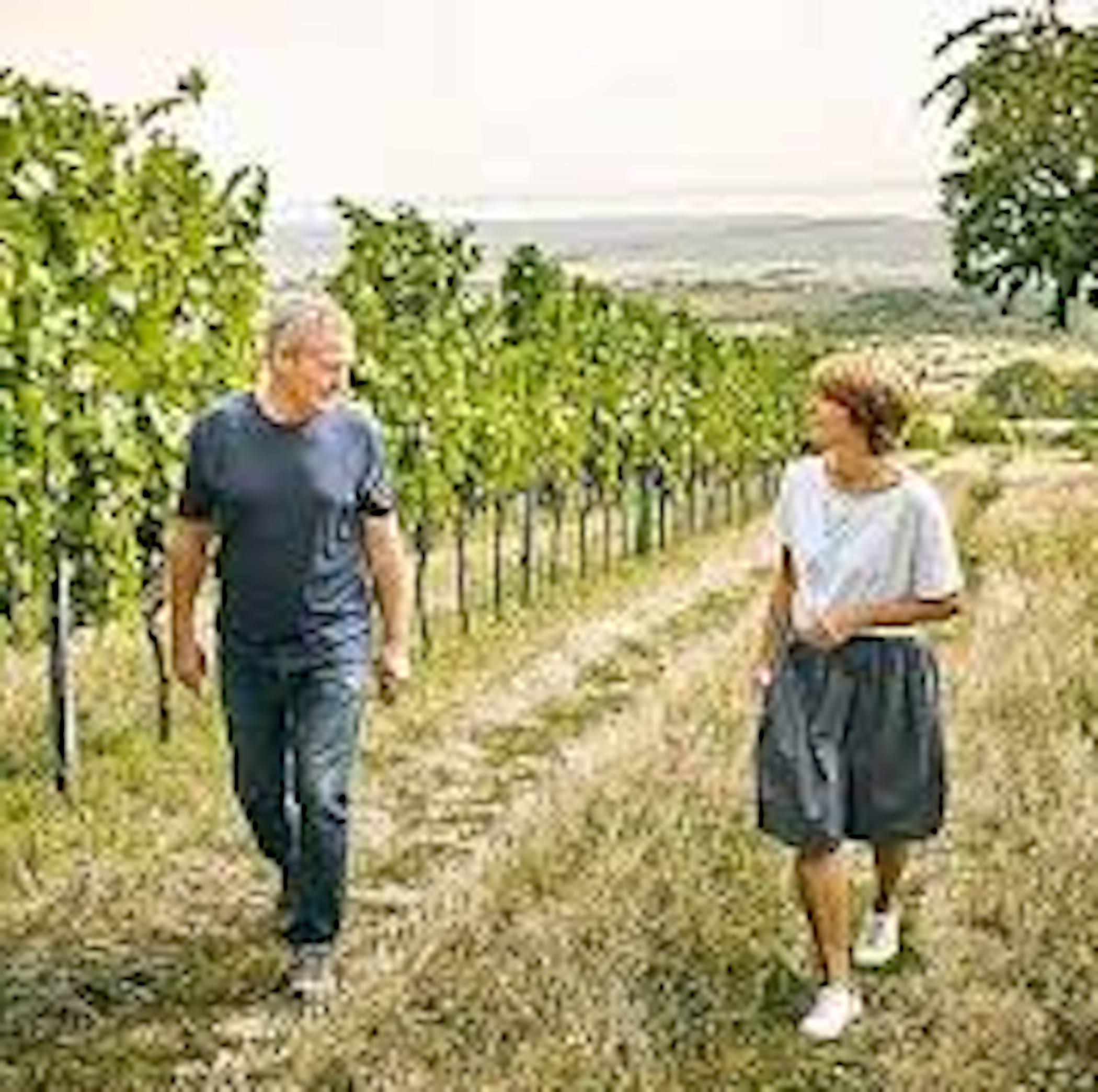 Pinot Noir Burgenland Red | Heinrich | MYSA Natural Wine