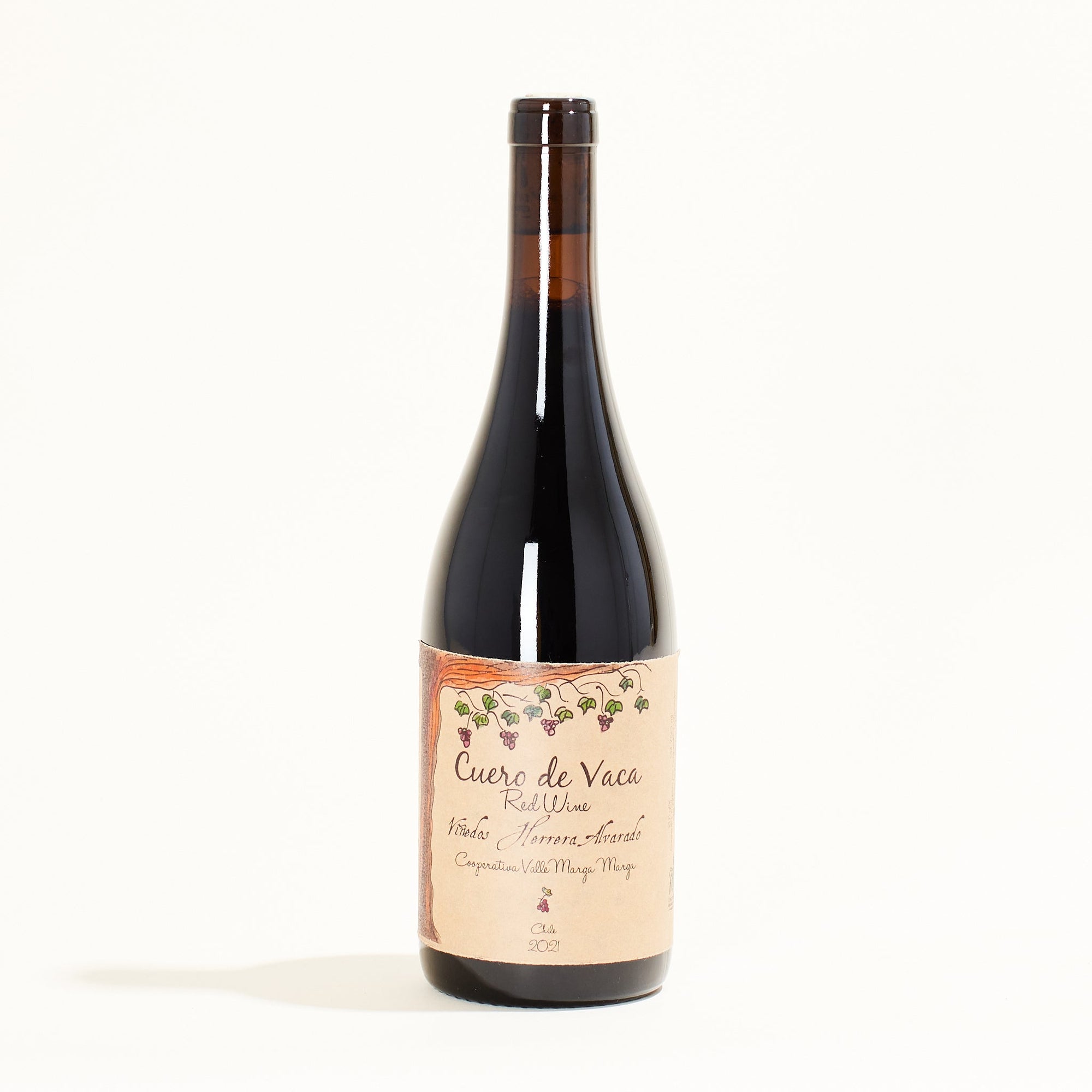 Herrera-Alvarado Cuero de Vaca Tinto Pinot Noir natural red wine San Antonio Valley Chile front label