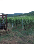kontozisis organic vineyards vineyard karditsa greece