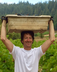 old-world-winery-winemaker