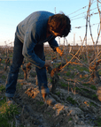 philippe tessier winemaker loire france