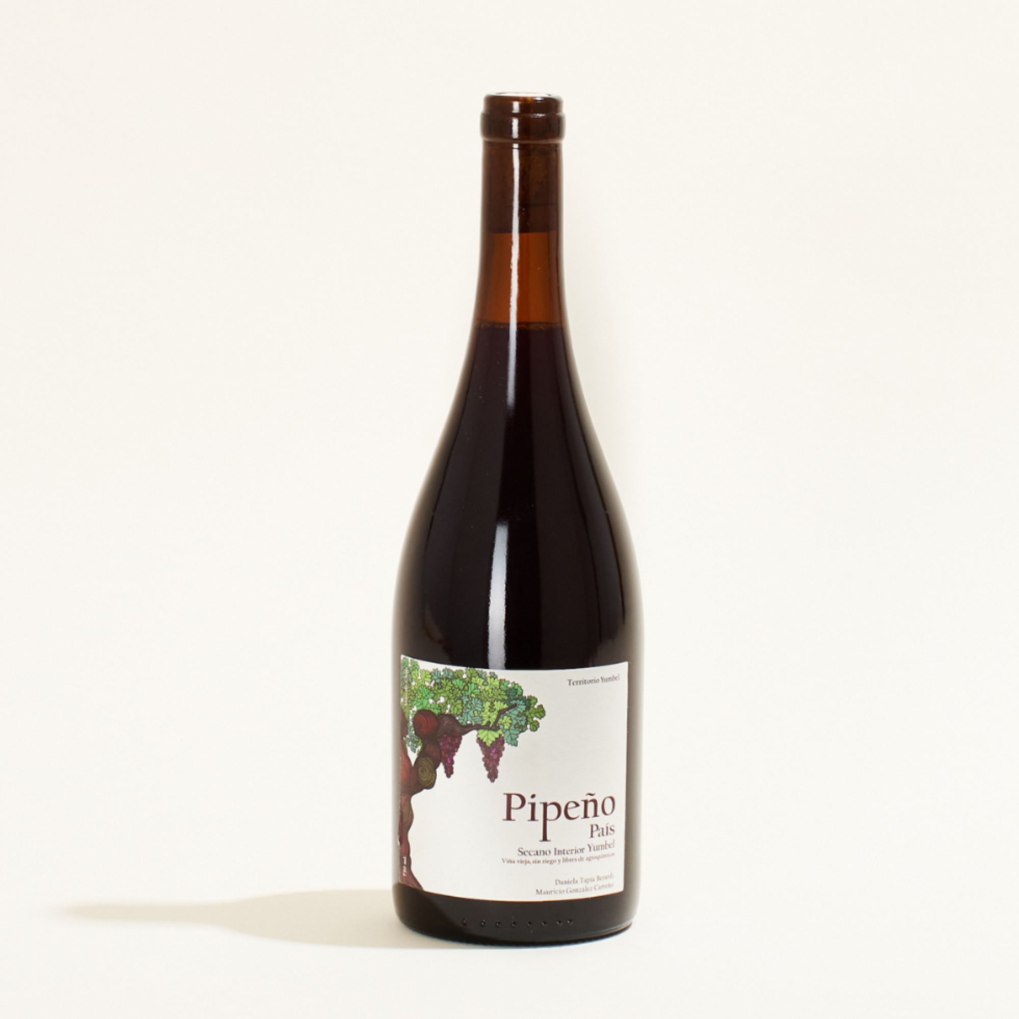 Pipeno Secano Interior Red Estacion Yumbel Natural red wine Bio-Bio Valley Chile front