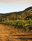 quinta-da-ermegeira-vineyard