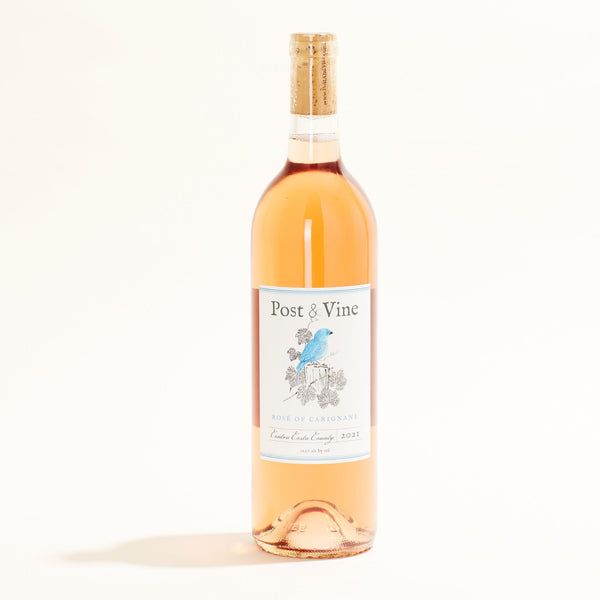 Rose of Carignane | Post & Vine | MYSA Natural Wine