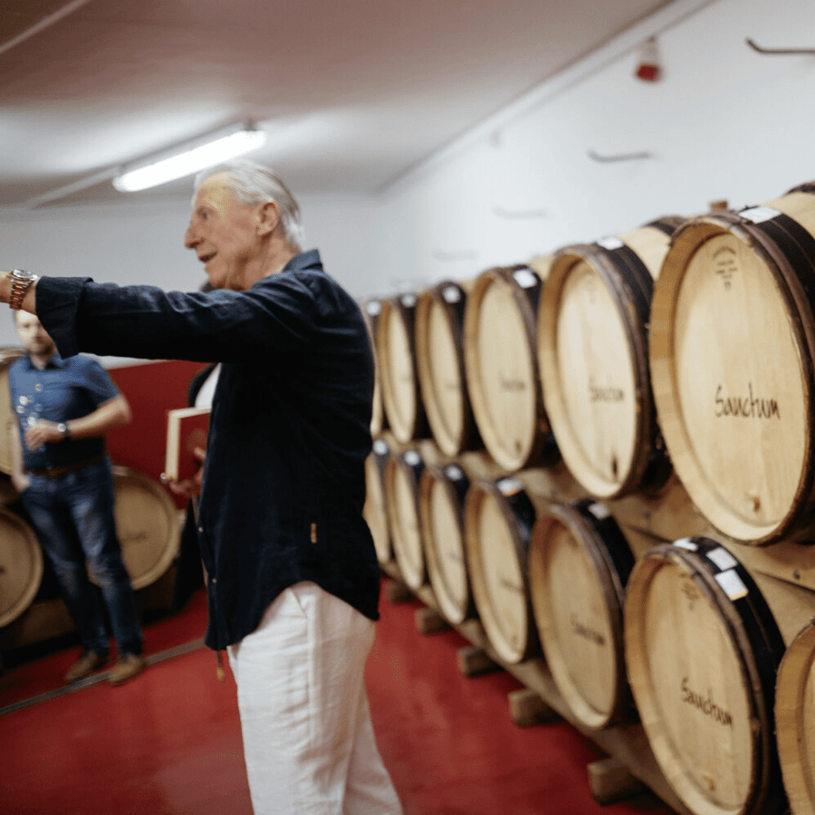 sanctum winemaker primorje slovenia