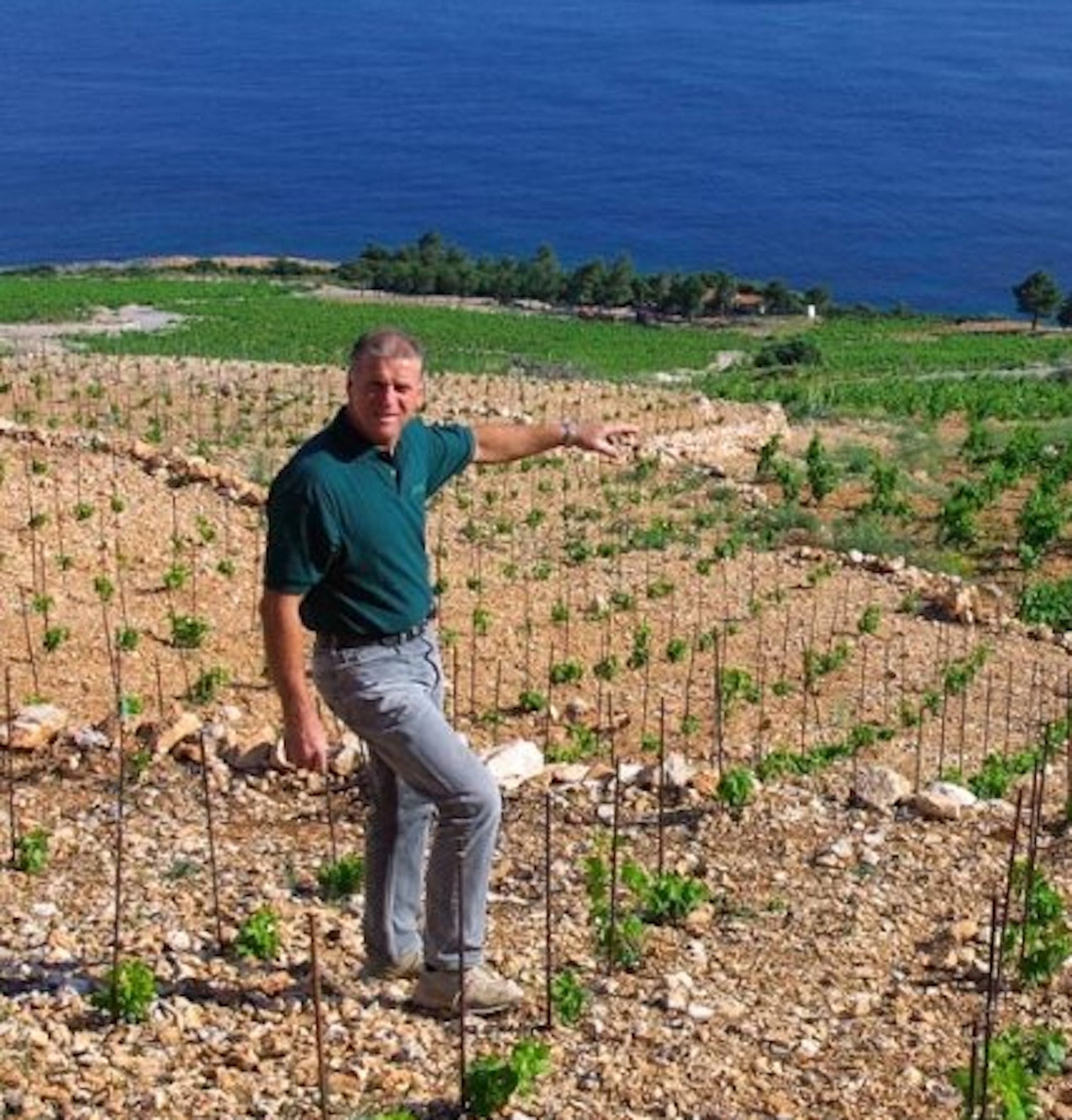 Skaramuca Winemaker