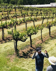 subject-to-change-vineyard