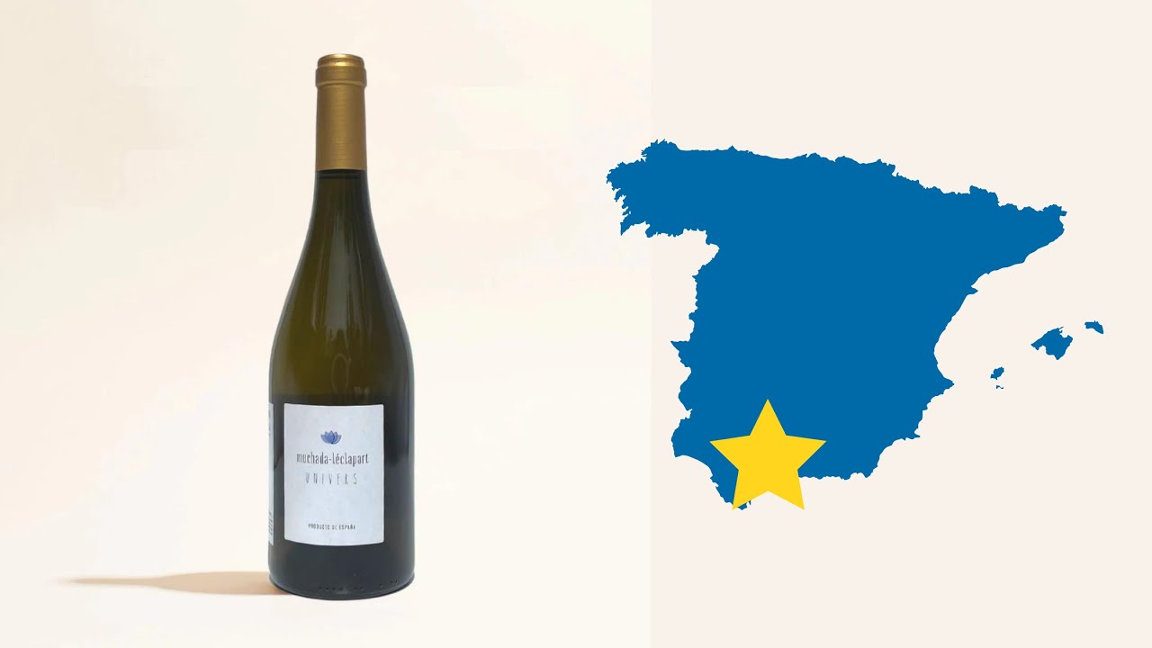 Univers | Muchada-Leclapart | MYSA Natural Wine