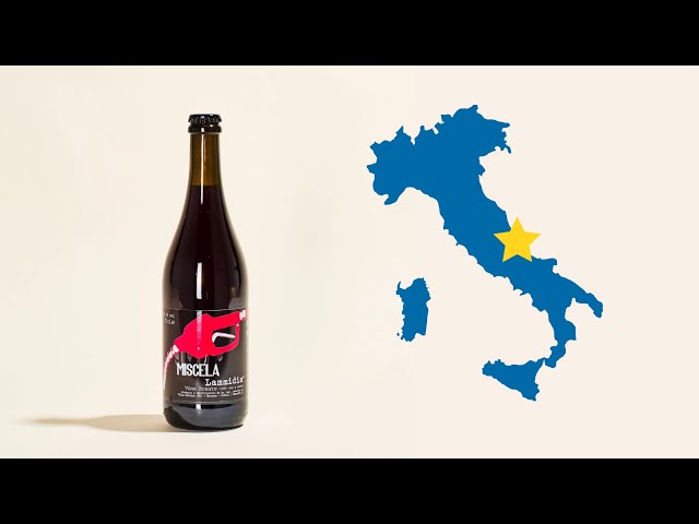 Miscela | Lammidia | MYSA Natural Wine