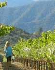 a tribute to grace vineyard california