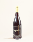 bagatelle pierre rousse natural Red wine Languedoc France front
