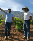 bichi winemaker baja california mexico