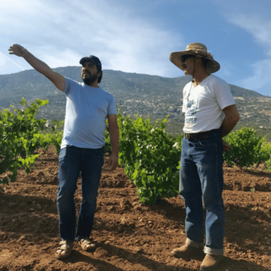 bichi winemaker baja california mexico