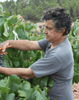 bodegas-cueva-winemaker