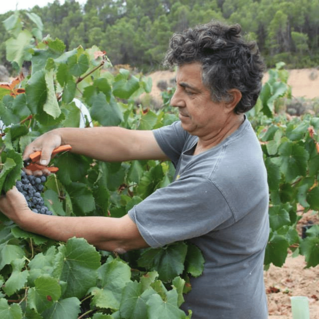 bodegas-cueva-winemaker