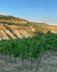 cantina indigeno vineyard