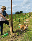 day wines vineyard southern oregon