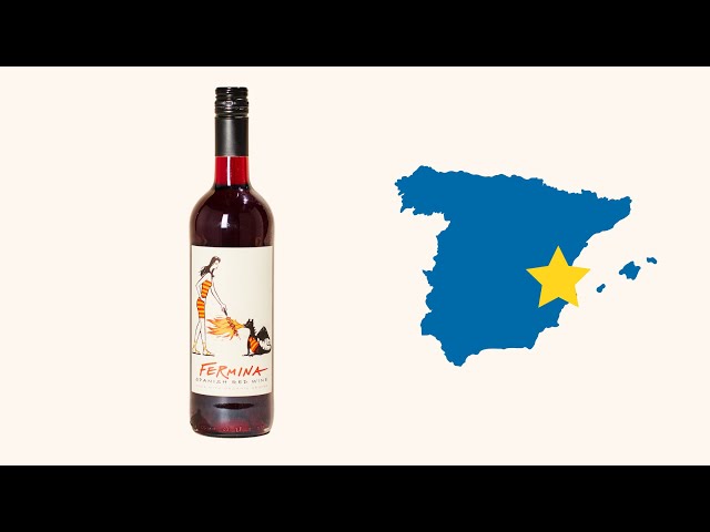 Zillamina Red | Bodegas Pinoso | MYSA Natural Wine